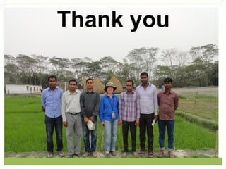 Triple rice in a year: Is it feasible for low salinity areas of the coastal zone of Bangladesh?