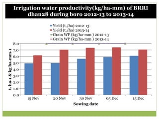 Triple rice in a year: Is it feasible for low salinity areas of the coastal zone of Bangladesh?