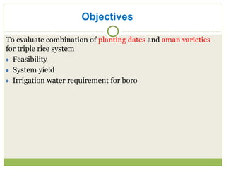 Triple rice in a year: Is it feasible for low salinity areas of the coastal zone of Bangladesh?