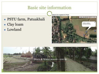 Triple rice in a year: Is it feasible for low salinity areas of the coastal zone of Bangladesh?