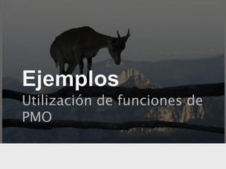 Utilización de funciones de
PMO
 