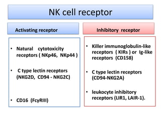 NK cell receptor
Inhibitory receptor
• Killer immunoglobulin-like
receptors ( KIRs ) or Ig-like
receptors (CD158)
• C type lectin receptors
(CD94-NKG2A)
• leukocyte inhibitory
receptors (LIR1, LAIR-1).
Activating receptor
• Natural cytotoxicity
receptors ( NKp46, NKp44 )
• C type lectin receptors
(NKG2D, CD94 - NKG2C)
• CD16 (FcγRIII)
 