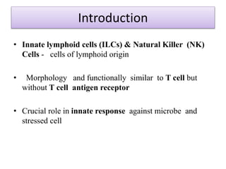 Introduction
• Innate lymphoid cells (ILCs) & Natural Killer (NK)
Cells - cells of lymphoid origin
• Morphology and functionally similar to T cell but
without T cell antigen receptor
• Crucial role in innate response against microbe and
stressed cell
 