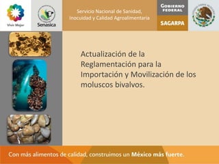Servicio Nacional de Sanidad,
Inocuidad y Calidad Agroalimentaria




    Actualización de la
    Reglamentación para la
    Importación y Movilización de los
    moluscos bivalvos.
 