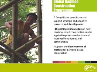 Bamboo: A Sustainable Alternative to Wood | PDF