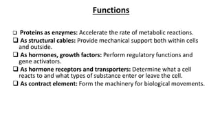 Functions
 Proteins as enzymes: Accelerate the rate of metabolic reactions.
 As structural cables: Provide mechanical support both within cells
and outside.
 As hormones, growth factors: Perform regulatory functions and
gene activators.
 As hormone receptors and transporters: Determine what a cell
reacts to and what types of substance enter or leave the cell.
 As contract element: Form the machinery for biological movements.
 