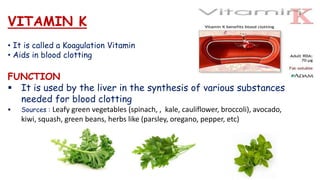 VITAMIN K
• It is called a Koagulation Vitamin
• Aids in blood clotting
FUNCTION
 It is used by the liver in the synthesis of various substances
needed for blood clotting
 Sources : Leafy green vegetables (spinach, , kale, cauliflower, broccoli), avocado,
kiwi, squash, green beans, herbs like (parsley, oregano, pepper, etc)
 
