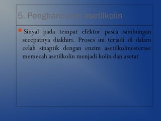 5. Penghancuran asetilkolin
Sinyal pada tempat efektor pasca sambungan
secepatnya diakhiri. Proses ini terjadi di dalam
celah sinaptik dengan enzim asetilkolinesterase
memecah asetilkolin menjadi kolin dan asetat
 