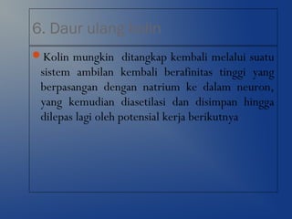 6. Daur ulang kolin
Kolin mungkin ditangkap kembali melalui suatu
sistem ambilan kembali berafinitas tinggi yang
berpasangan dengan natrium ke dalam neuron,
yang kemudian diasetilasi dan disimpan hingga
dilepas lagi oleh potensial kerja berikutnya
 