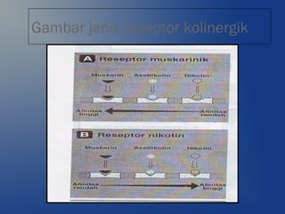 Gambar jenis reseptor kolinergik
 