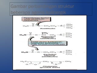 Gambar perbandingan struktur
beberapa agonis kolinergik
 