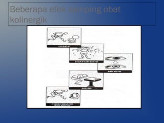 Beberapa efek samping obat
kolinergik
 