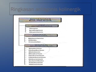 Ringkasan antagonis kolinergik
 