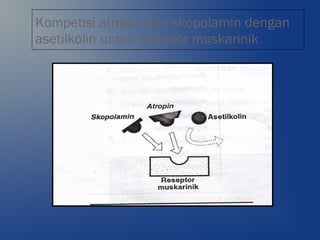 Kompetisi atropin dan skopolamin dengan
asetilkolin untuk reseptor muskarinik
 