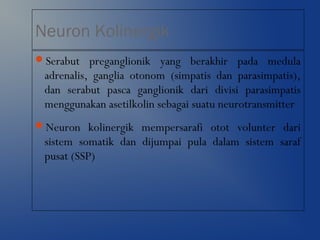 Neuron Kolinergik
Serabut preganglionik yang berakhir pada medula
adrenalis, ganglia otonom (simpatis dan parasimpatis),
dan serabut pasca ganglionik dari divisi parasimpatis
menggunakan asetilkolin sebagai suatu neurotransmitter
Neuron kolinergik mempersarafi otot volunter dari
sistem somatik dan dijumpai pula dalam sistem saraf
pusat (SSP)
 