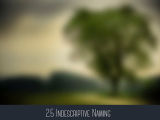 2.5 Indescriptive Naming
 