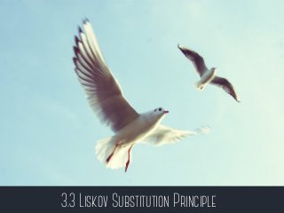 3.3 Liskov Substitution Principle
 