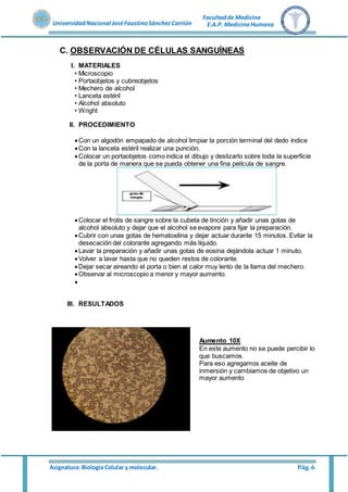 Asignatura: Biología Celular y molecular. Pág. 6
UniversidadNacional JoséFaustinoSánchez Carrión
Facultadde Medicina
E.A.P. MedicinaHumana
C. OBSERVACIÓN DE CÉLULAS SANGUÍNEAS
I. MATERIALES
• Microscopio
• Portaobjetos y cubreobjetos
• Mechero de alcohol
• Lanceta estéril
• Alcohol absoluto
• Wright
II. PROCEDIMIENTO
Con un algodón empapado de alcohol limpiar la porción terminal del dedo índice
Con la lanceta estéril realizar una punción.
Colocar un portaobjetos como indica el dibujo y deslizarlo sobre toda la superficie
de la porta de manera que se pueda obtener una fina película de sangre.
Colocar el frotis de sangre sobre la cubeta de tinción y añadir unas gotas de
alcohol absoluto y dejar que el alcohol se evapore para fijar la preparación.
Cubrir con unas gotas de hematoxilina y dejar actuar durante 15 minutos. Evitar la
desecación del colorante agregando más líquido.
Lavar la preparación y añadir unas gotas de eosina dejándola actuar 1 minuto.
Volver a lavar hasta que no queden restos de colorante.
Dejar secar aireando el porta o bien al calor muy lento de la llama del mechero.
Observar al microscopio a menor y mayor aumento.

III. RESULTADOS
Aumento 10X
En este aumento no se puede percibir lo
que buscamos.
Para eso agregamos aceite de
inmersión y cambiamos de objetivo un
mayor aumento
 