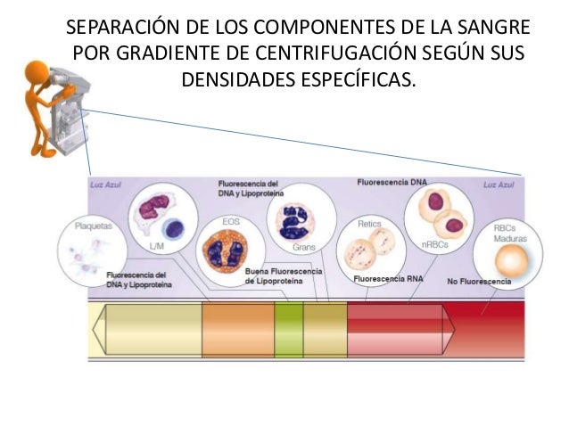 3 obtención de componentes sanguineos fraccionamiento