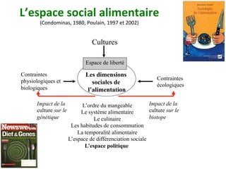 Cultures
Espace de liberté
Les dimensions
sociales de
l’alimentation
Contraintes
physiologiques et
biologiques
Contraintes
écologiques
L’ordre du mangeable
Le système alimentaire
Le culinaire
Les habitudes de consommation
La temporalité alimentaire
L’espace de différenciation sociale
L’espace politique
L’espace	social	alimentaire		
(Condominas,	1980,	Poulain,	1997	et	2002)	
Impact de la
culture sur le
génétique
Impact de la
culture sur le
biotope
 