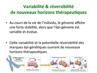 Variabilité	&	réversibilité		
de	nouveaux	horizons	thérapeu)ques		
•  Au	cours	de	la	vie	de	l’individu,	le	génome	aﬃche	
une	forte	stabilité,	alors	que	l’épi-génome	est	
variable	et	évolue.		
•  Cexe	variabilité	et	la	potenNelle	réversibilité	des	
marques	épi-généNques	ouvrent	de	nouveaux	
horizons	thérapeuNques		
 