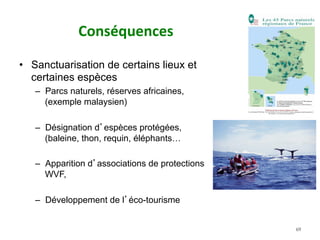 Conséquences		
•  Sanctuarisation de certains lieux et
certaines espèces
–  Parcs naturels, réserves africaines,
(exemple malaysien)
–  Désignation d’espèces protégées,
(baleine, thon, requin, éléphants…
–  Apparition d’associations de protections
WVF,
–  Développement de l’éco-tourisme
69
 