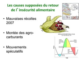 Les	causes	supposées	du	retour		
de	l’insécurité	alimentaire	
•  Mauvaises récoltes
2007
•  Montée des agro-
carburants
•  Mouvements
spéculatifs
84
 