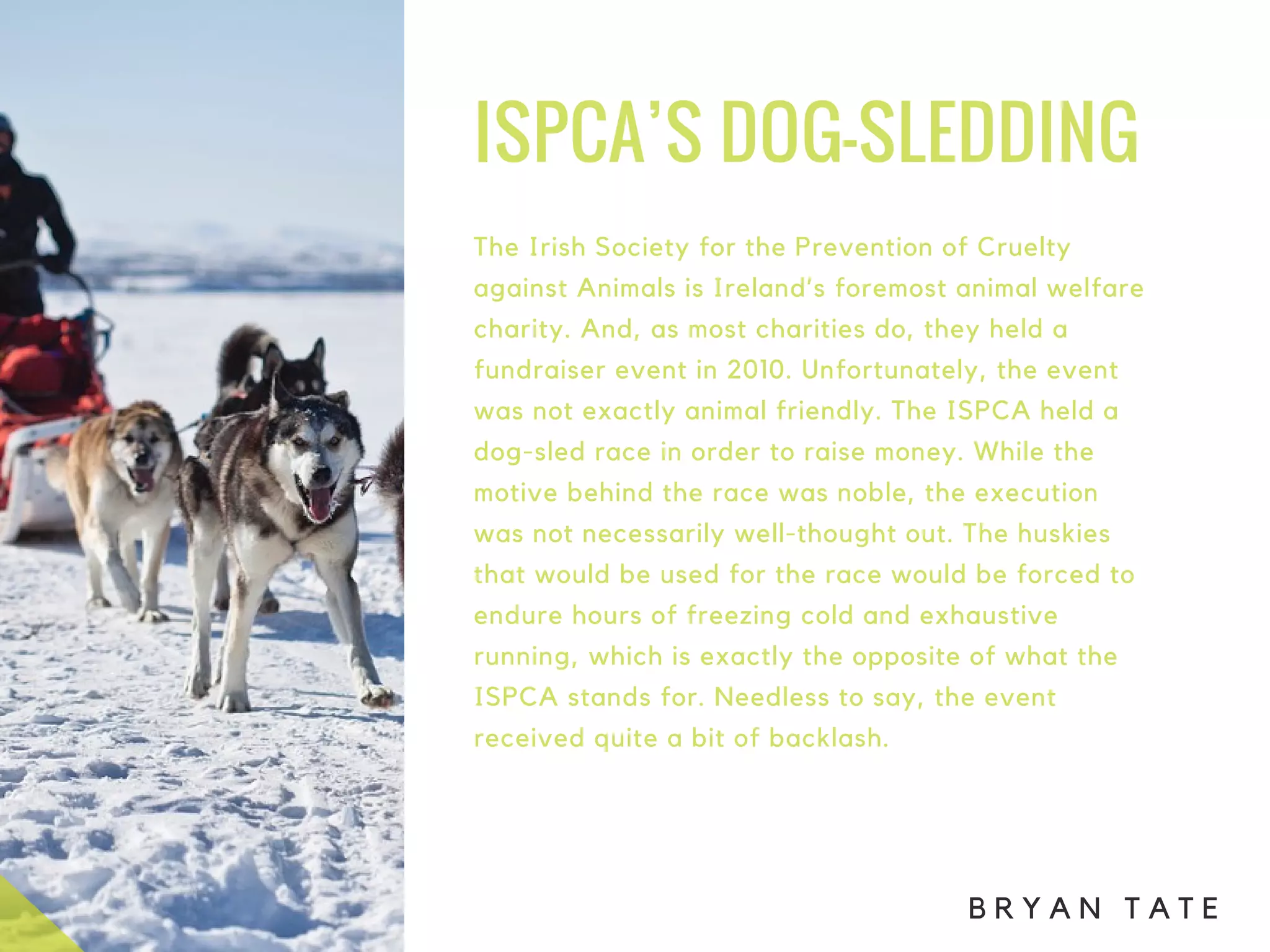 ISPCA’S DOG-SLEDDING 
The Irish Society for the Prevention of Cruelty
against Animals is Ireland’s foremost animal welfare
charity. And, as most charities do, they held a
fundraiser event in 2010. Unfortunately, the event
was not exactly animal friendly. The ISPCA held a
dog-sled race in order to raise money. While the
motive behind the race was noble, the execution
was not necessarily well-thought out. The huskies
that would be used for the race would be forced to
endure hours of freezing cold and exhaustive
running, which is exactly the opposite of what the
ISPCA stands for. Needless to say, the event
received quite a bit of backlash.
B R Y A N T A T E
 