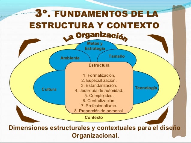 3 organizaciones naturaleza y su estructuras