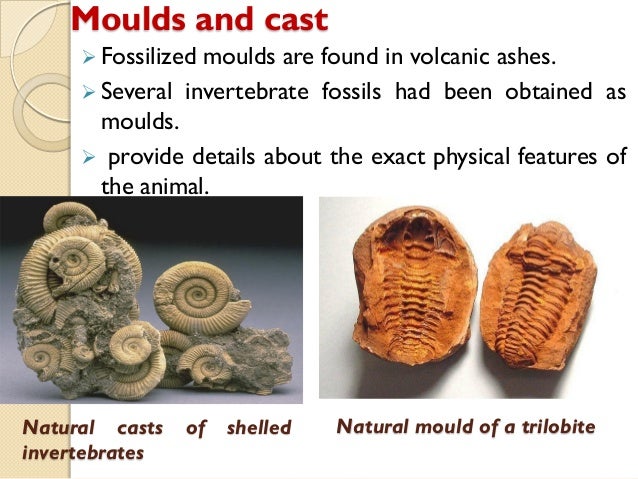 Origin of life