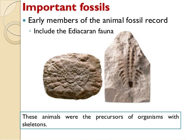indirect dating fossils Fossils: direct or indirect (gc5t94b) was created by touchstone on 4/26/2015 it's a other size geocache, with difficulty of 15, terrain of 15 it's located in california, united statesat the cache page coordinates, evidence of fossils. indirect dating fossils Fossils: direct or indirect (gc5t94b) was created by touchstone on 4/26/2015 it's a other size geocache, with difficulty of 15, terrain of 15 it's located in california, united statesat the cache page coordinates, evidence of fossils.