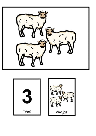 tres   ovejas
 