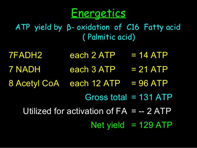 Oxidation Fatty Acids