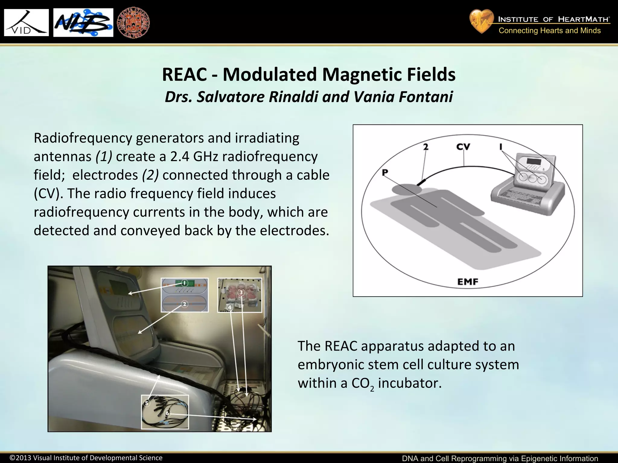 Dr. Carlo Ventura - DNA and Cell reprogramming | PPT