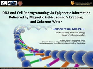Connecting Hearts and Minds
DNA and Cell Reprogramming via Epigenetic Information©2013 Visual Institute of Developmental Science
DNA and Cell Reprogramming via Epigenetic Information
Delivered by Magnetic Fields, Sound Vibrations,
and Coherent Water
Carlo Ventura, MD, Ph.D.
Full Professor of Molecular Biology
University of Bologna, Italy
VID (Visual Institute of Developmental Sciences)
Laboratory of Molecular Biology and Stem Cell Engineering, NIBB , Bologna, Italy
Experimental Cardiology at the Cardiovascular Department, University of Bologna, Italy
 