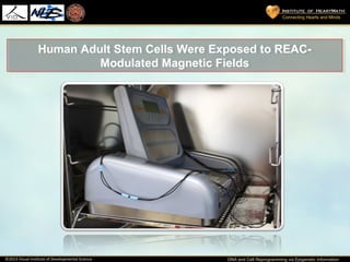 Dr. Carlo Ventura - DNA and Cell reprogramming | PPT