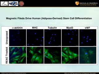 Dr. Carlo Ventura - DNA and Cell reprogramming | PPT
