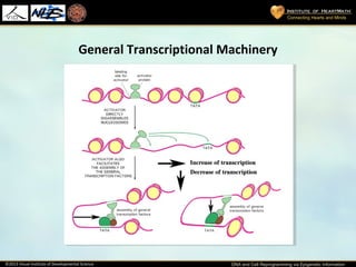 Dr. Carlo Ventura - DNA and Cell reprogramming | PPT