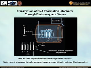 Dr. Carlo Ventura - DNA and Cell reprogramming | PPT
