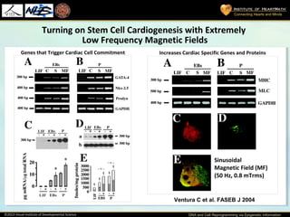 Dr. Carlo Ventura - DNA and Cell reprogramming | PPT
