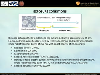 Dr. Carlo Ventura - DNA and Cell reprogramming | PPT