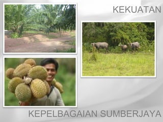 KEKUATAN




KEPELBAGAIAN SUMBERJAYA
 