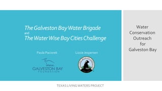 TheGalvestonBayWaterBrigade
and
TheWaterWiseBayCitiesChallenge
Paula Paciorek
TEXAS LIVINGWATERS PROJECT
Lizzie Jespersen
Water
Conservation
Outreach
for
Galveston Bay
 