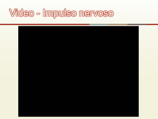 Video - Impulso nervoso
 