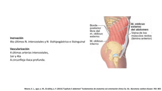 Inervación
4to últimos N. intercostales y N iliohipogástrico e ilioinguinal
Vascularización
4 últimas arterias intercostales,
1er y 4ta
A.circunfleja iliaca profunda.
Moore, k. L., agur, a. M., & dalley, a. F. (2015).”Capítulo 5 abdomen” fundamentos de anatomía con orientación clínica 5a. Ed.. Barcelona: wolters kluwer. 765- 803
 