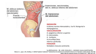 INERVACIÓN
4 últimos nervios intercostales y los N. ilioinguinal e
iliohipogástrico.
VASCULARIZACIÓN
A. epigástrica inferior y superior.
A. intercostales.
A . lumbares.
A.circunfleja iliaca
interna o profunda.
FISIOLOGÍA
Verdadero músculo continente.
La dehiscencia de este músculo s , siempre causa eventración.
Moore, k. L., agur, a. M., & dalley, a. F. (2015).”Capítulo 5 abdomen” fundamentos de anatomía con orientación clínica 5a. Ed.. Barcelona: wolters kluwer. 765- 803
Netter. Atlas de anatomía humana. Ed. Elsevier. Ed. 7°. 2019. 457 -477
 
