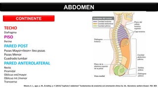 TECHO
Diafragma
PISO
Perine
PARED POST
Psoas Mayor+Ileon= Ileo psoas
Psoas Menor
Cuadrado lumbar
PARED ANTEROLATERAL
Recto
Piramidal
Oblicuo ext/mayor
Oblicuo Int /menor
Transverso
ABDOMEN
CONTINENTE
Moore, k. L., agur, a. M., & dalley, a. F. (2015).”Capítulo 5 abdomen” fundamentos de anatomía con orientación clínica 5a. Ed.. Barcelona: wolters kluwer. 765- 803
 