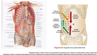Mayagoitia González, J (2015). Hernias de la pared abdominal tratamiento actual.. Edición 3ra. Ciudad de México, México. Editorial Alfi
Skandalakis j, colborn g, “capitulo 9 pared abdominal y hernias” cirugía bases de la anatomía quirúrgica de skandalakis. Marbán libros España primera edición, versión español 2013. 351-
 