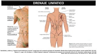 DRENAJE LINFATICO
Skandalakis j, colborn g, “capitulo 9 pared abdominal y hernias” cirugía bases de la anatomía quirúrgica de skandalakis. Marbán libros España primera edición, versión español 2013. 351-416.
Moore, k. L., agur, a. M., & dalley, a. F. (2015).”Capítulo 5 abdomen” fundamentos de anatomía con orientación clínica 5a. Ed.. Barcelona: wolters kluwer. 765- 803
 