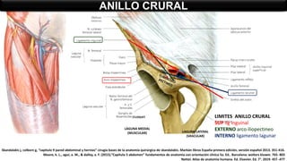 ANILLO CRURAL
LAGUNA MEDIAL
(MUSCULAR) LAGUNA LATERAL
(VASCULAR)
/CLOQUET LIMITES ANILLO CRURAL
SUP lig inguinal
EXTERNO arco iliopectineo
INTERNO ligamento lagunar
Skandalakis j, colborn g, “capitulo 9 pared abdominal y hernias” cirugía bases de la anatomía quirúrgica de skandalakis. Marbán libros España primera edición, versión español 2013. 351-416.
Moore, k. L., agur, a. M., & dalley, a. F. (2015).”Capítulo 5 abdomen” fundamentos de anatomía con orientación clínica 5a. Ed.. Barcelona: wolters kluwer. 765- 803
Netter. Atlas de anatomía humana. Ed. Elsevier. Ed. 7°. 2019. 457 -477
 